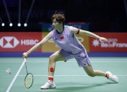 英雄联盟总决赛-德国队绝杀日本队，陈雨菲高光表现的简单介绍