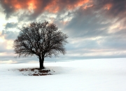 英雄联盟总决赛直播-奥利维耶独舞圣西罗，克罗地亚铁骑碾过红黑军团