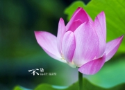 英雄联盟总决赛时间-从维迪奇到德里赫特，一位铁卫如何在一场半决赛中重写防守艺术史