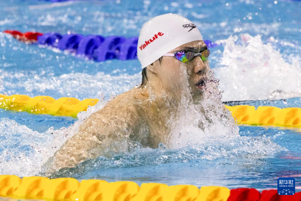 回顾游泳经典时刻：传奇再现的简单介绍