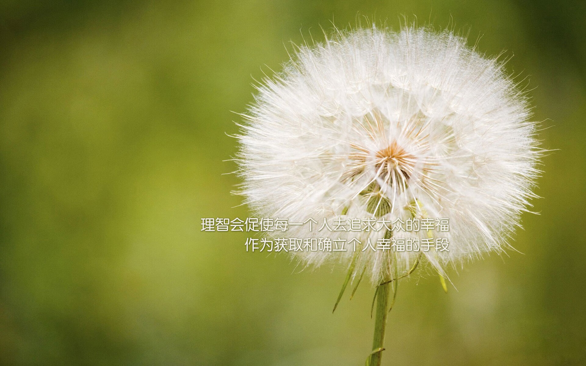 哈弗茨全程高能输出,皇马碾压比利时—足坛双雄的胜利之歌