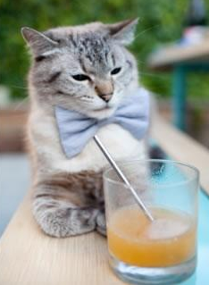 欧冠淘汰赛之夜，福克斯节奏如何成为豪门终结者