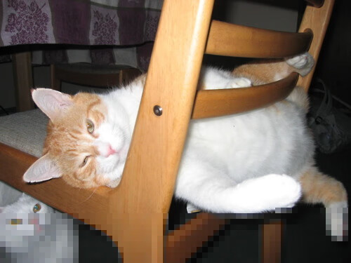 跨境交锋的贝恩时刻，吉林队如何正面击溃独行侠