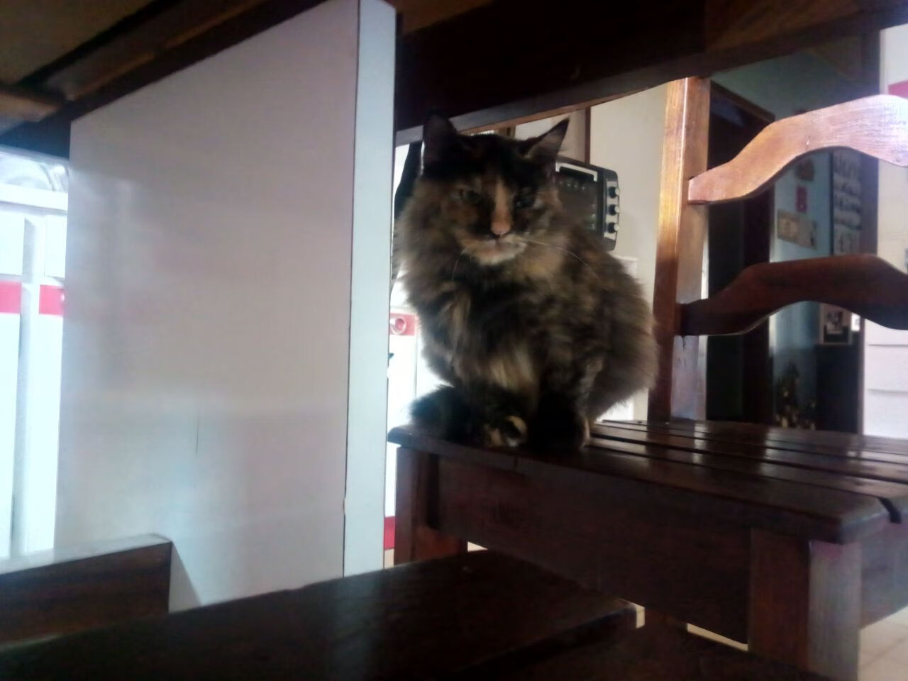 当德比风暴席卷南北，马德里震动的夜晚，与上海滩掀翻王朝的奇迹