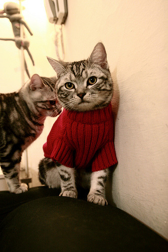 东决之夜，富安健洋定义亚洲后卫天花板