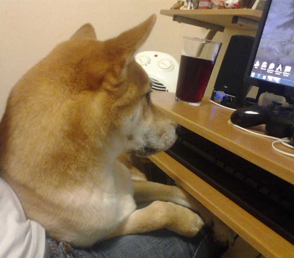 当篮球之神降临绿茵场，欧冠半决赛之夜，字母哥用橄榄球思维统治足球神迹