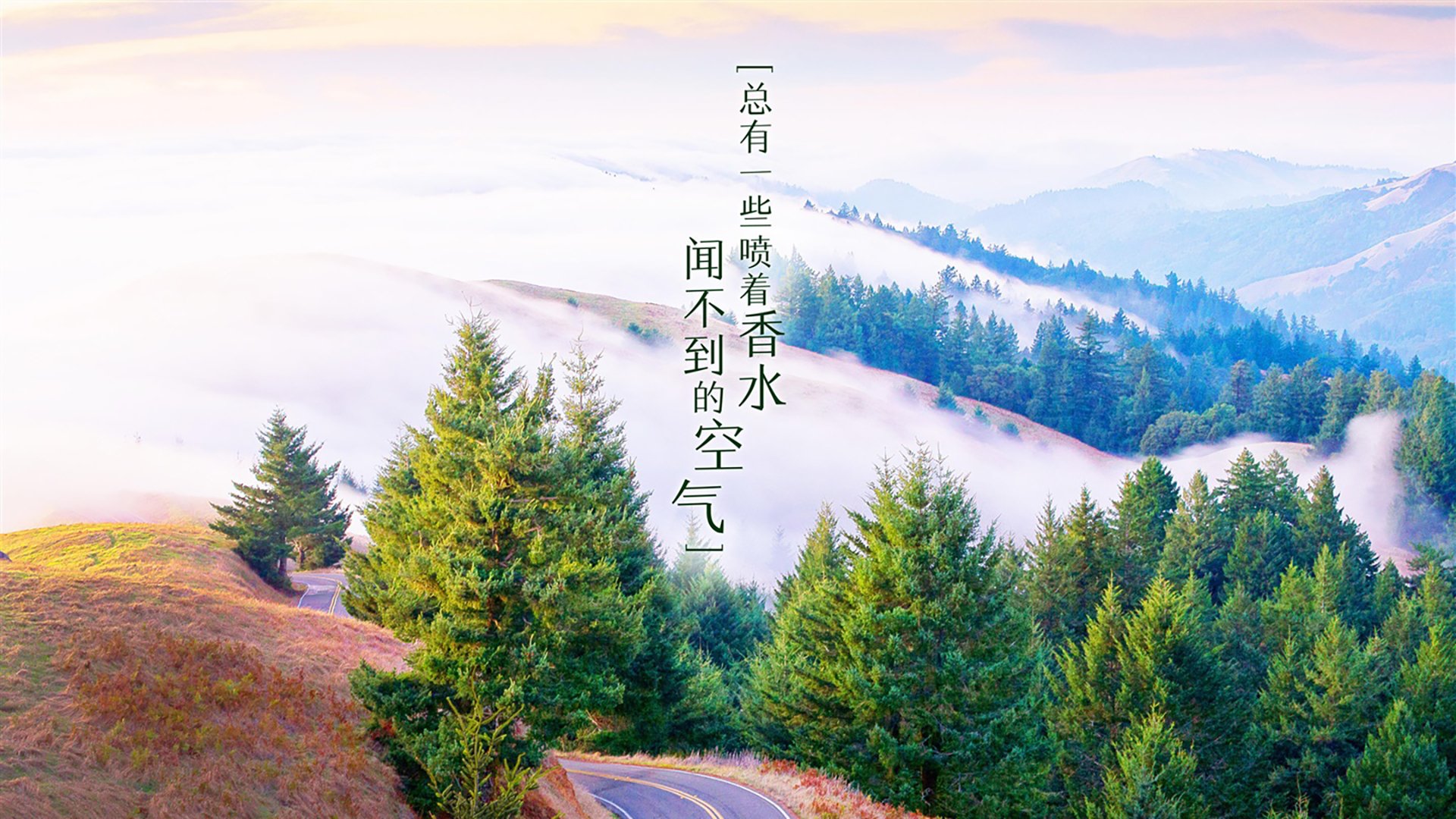 （扩展思维）