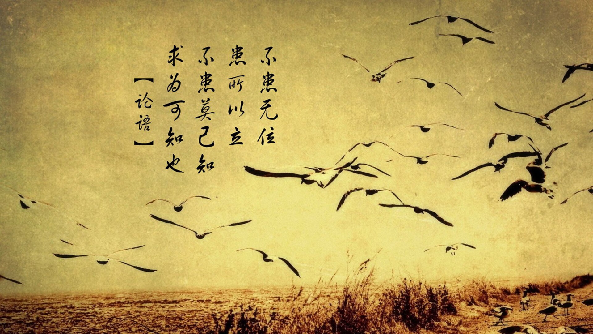 这是一篇为您定制的文章,标题兼具了新闻感与文学性,内容则围绕唯一性展开—强调这场比赛的不可复制、不可预测以及历史性转折