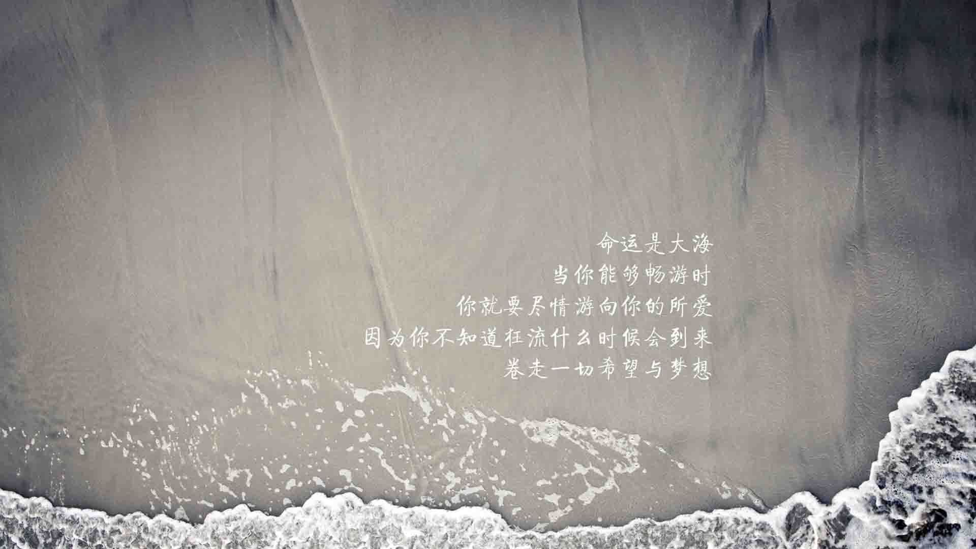逆转之夜,萨内一剑封喉,塞尔维亚用防守反击书写2026世界杯H组最冷血剧本
