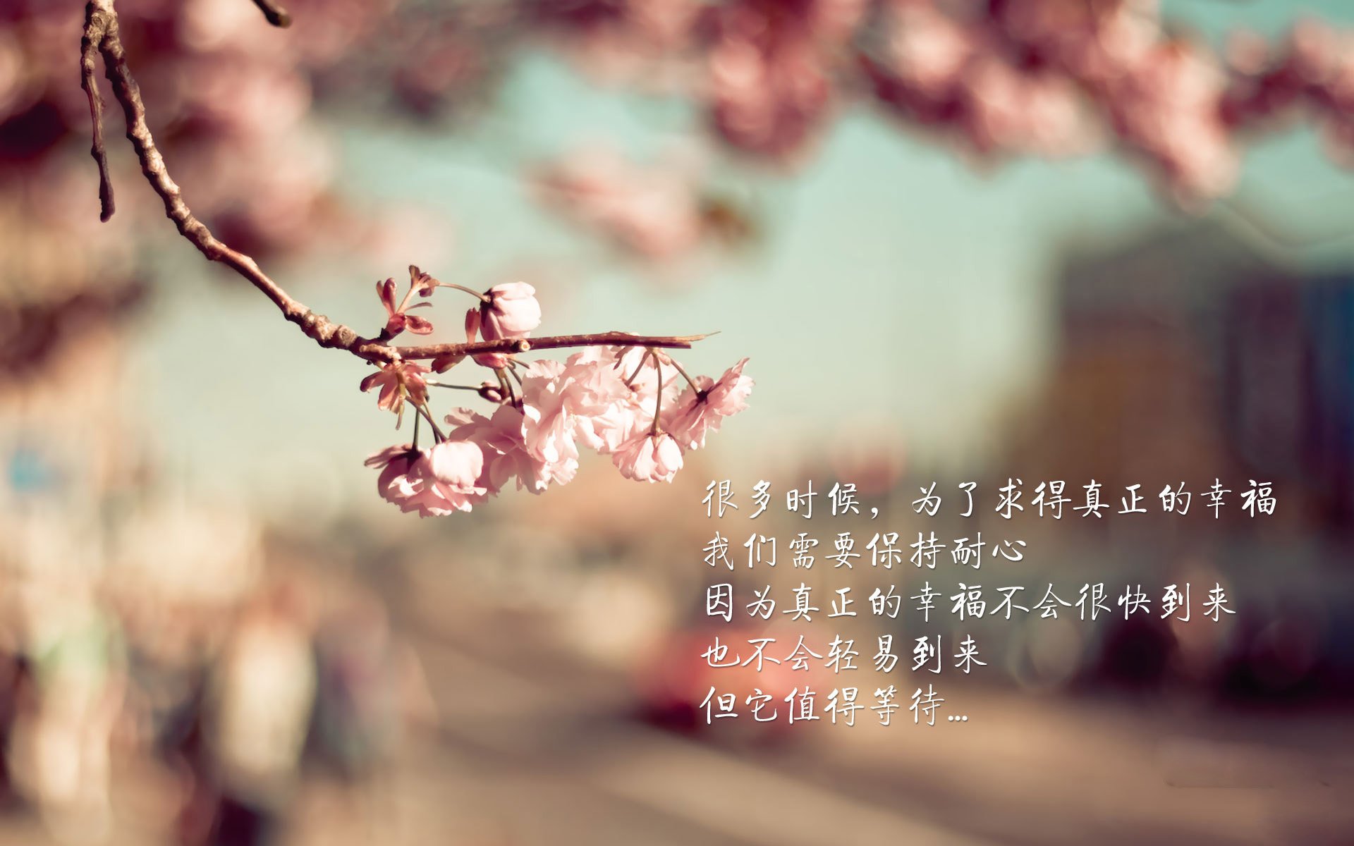 魔笛终响，2026世界杯巅峰对决，克罗地亚绝杀奥地利，哈兰德独造三球闪耀全场